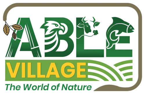 Able Village — The World of Nature